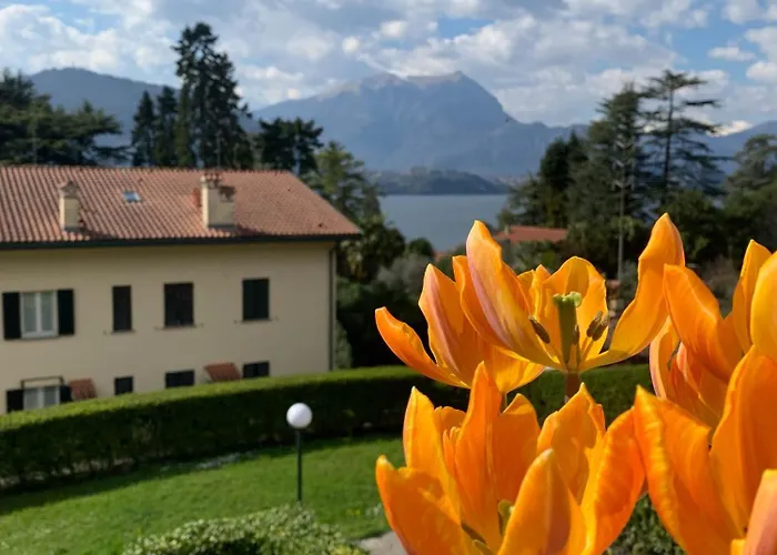 Kg View * ליירנה