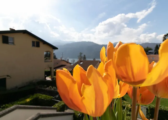 Kg View דירה ליירנה